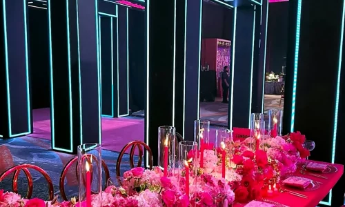 IMG0446_CustomLEDArches