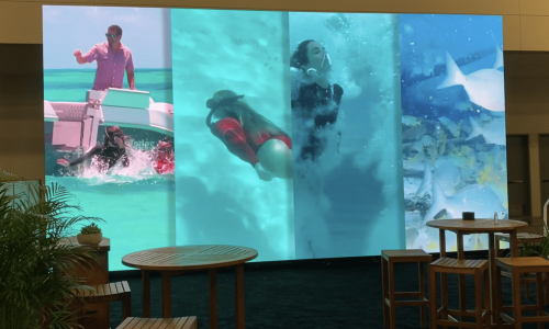 Gallery of Sounmedia services